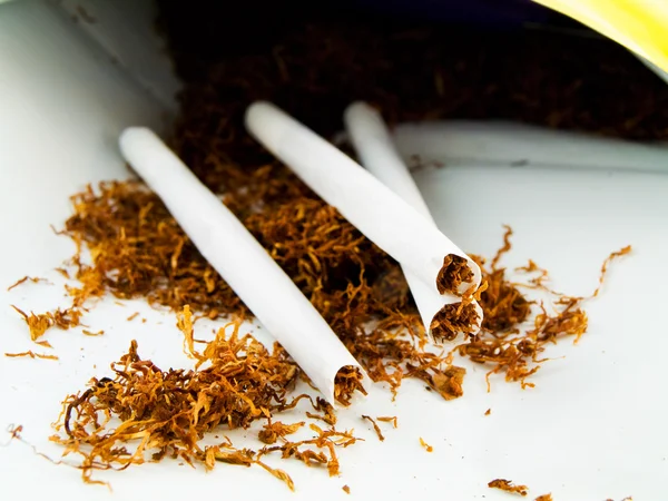 Hand Rolling Tobacco — Stock Photo, Image