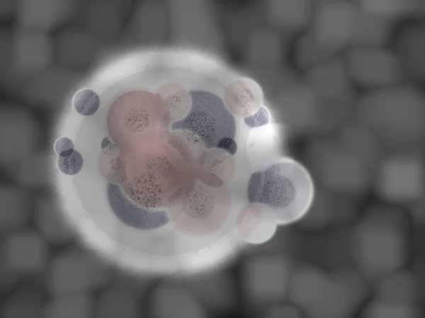 3d 有机细胞体事项医疗图 — 图库照片