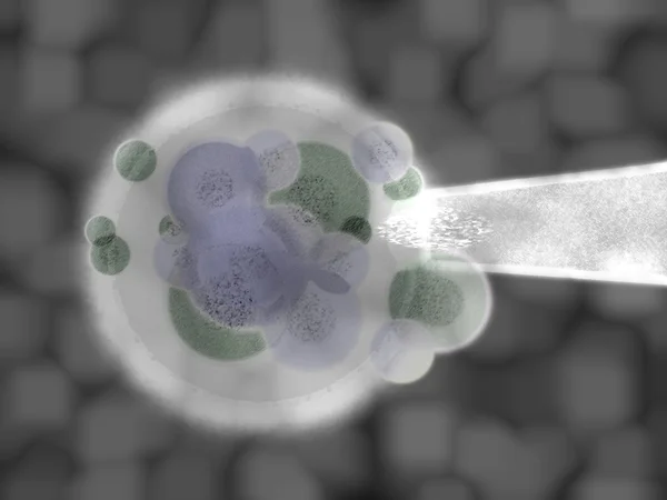 灰色 3d 有机注入体外受精 — 图库照片