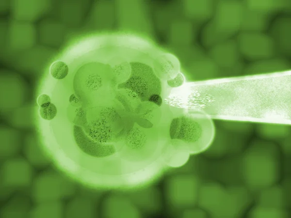 Ilustración médica de la materia de la célula vegetal verde 3d —  Fotos de Stock