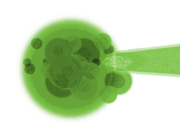 Grüne Pflanzenzelle und dna in Nadel auf weiß — Stockfoto