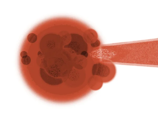 Célula e agulha orgânicas vermelhas do corpo do sangue no branco — Fotografia de Stock