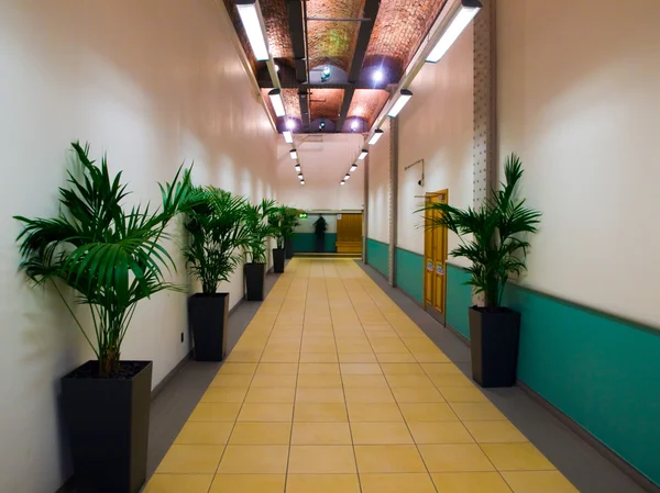 Corporate vita och gula korridoren — Stockfoto