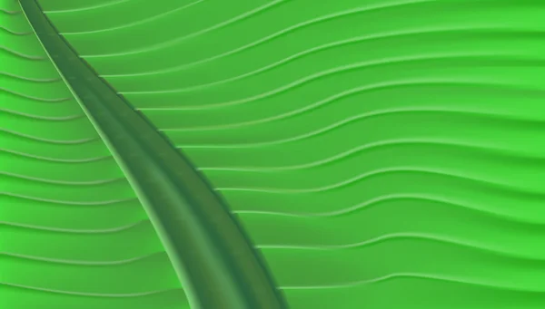Tropische grüne Blatt Hintergrund Textur — Stockfoto