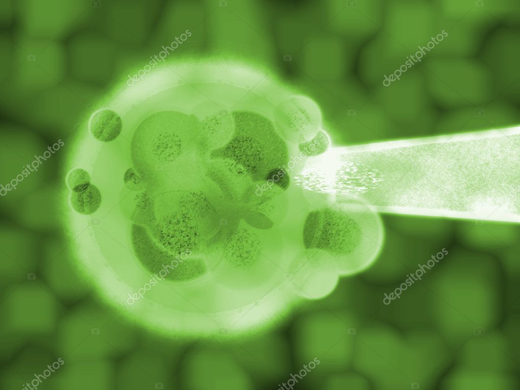 3d Green Plant Cell Matter Medical Illustration Stock Photo By C Bobbigmac 9903096