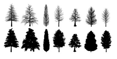 Collection of trees clipart