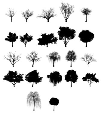 ağaçlarının silhouettes