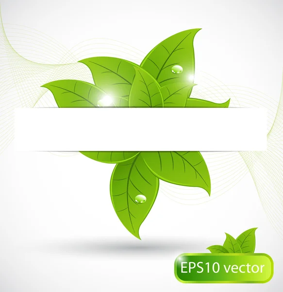 Leaves background — Stock Vector