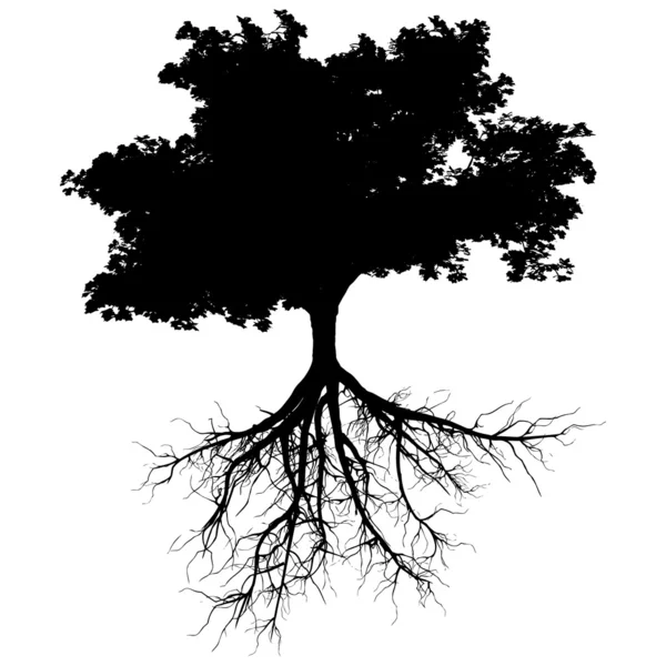 木のシルエット — ストックベクタ