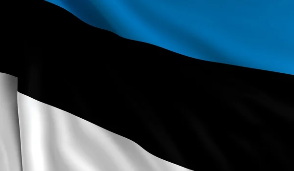 Drapeau de l'Estonie — Photo