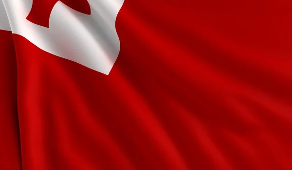 Tonga bayrağı — Stok fotoğraf