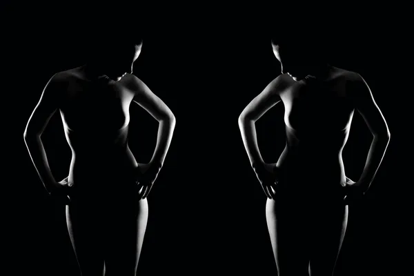 2 つの美しいヌード女性の官能的な輪郭 — ストック写真