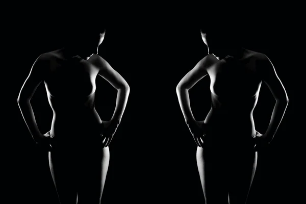 2 つの美しいヌード女性の官能的な輪郭 ロイヤリティフリーのストック写真