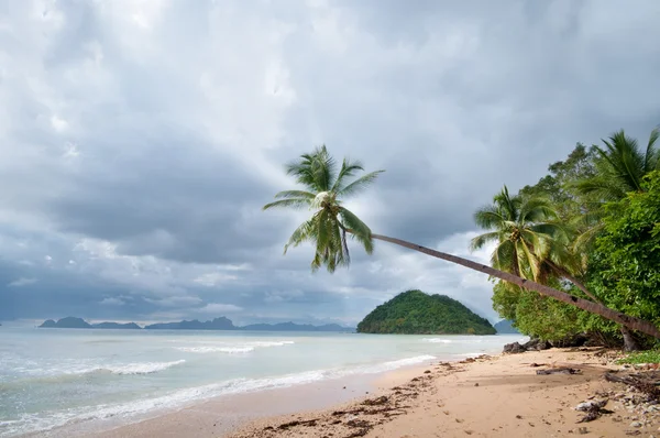 Stormy exotic beach — Stock Photo, Image