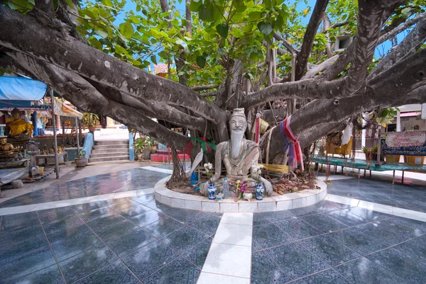 Огромное дерево в храме Ват Пхра Яй, Ко Самуи, Таиланд — стоковое фото