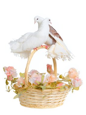 sepeti dekoratif güvercinler ile
