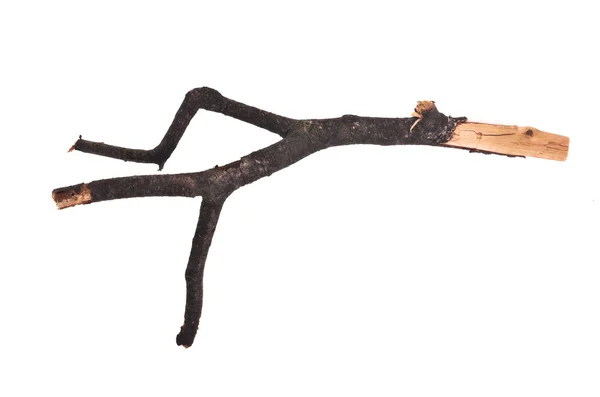 Stick or twig — Stock Photo, Image