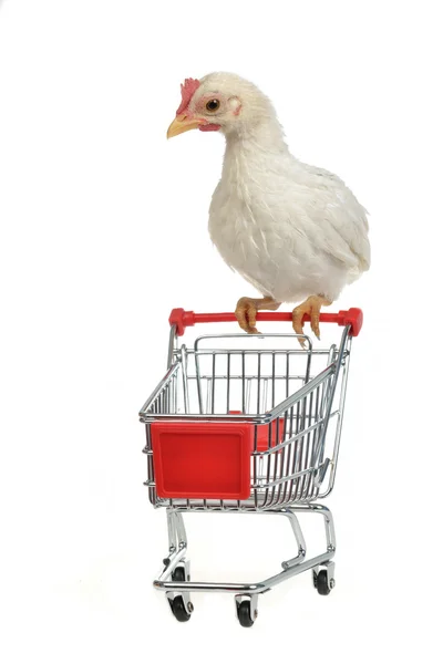 Chicken with shopping cart — Stock Photo, Image