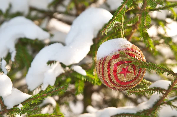 Palla di Natale all'albero di Natale — Foto Stock