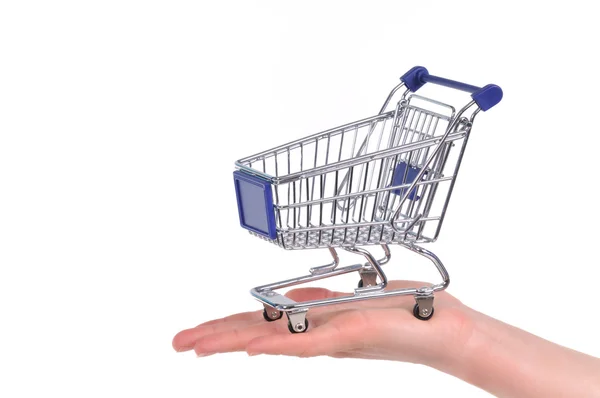 Shopping cart on a palm — Stock Photo, Image