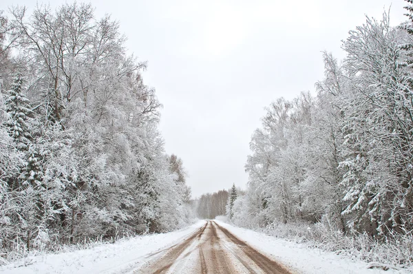 Forêt d'hiver et route — Photo