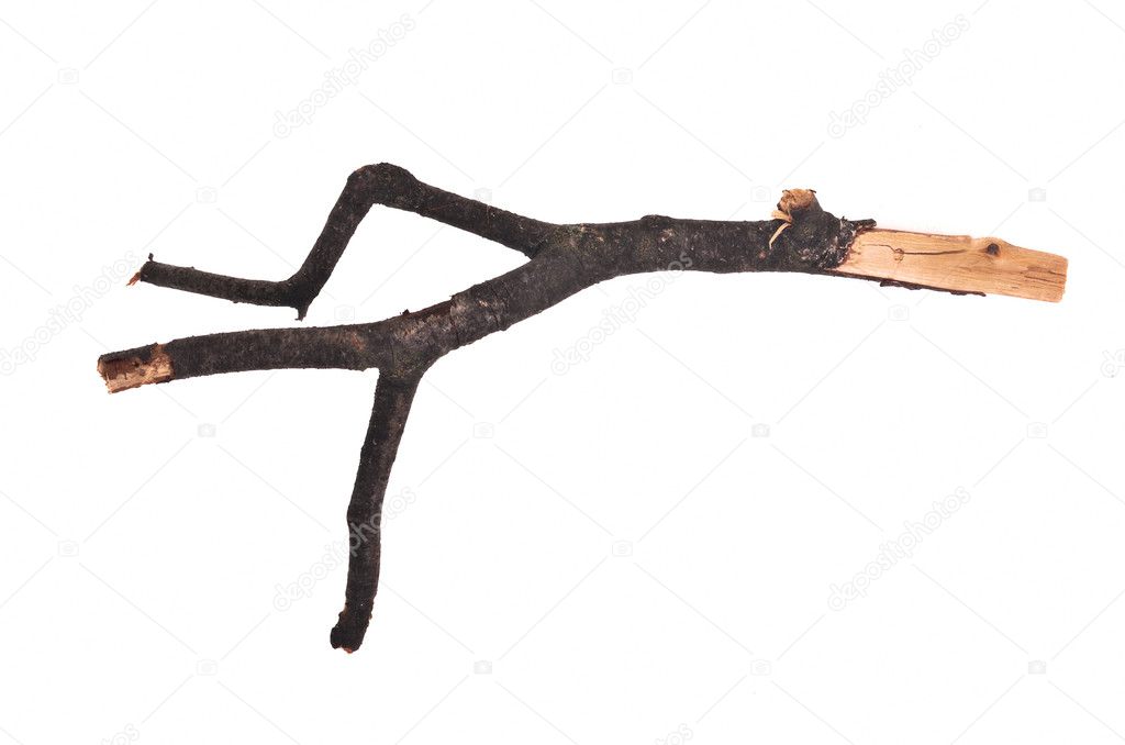 Stick or twig