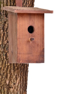 Bir ağaç gövdesi beyaz arka plan üzerinde ahşap kuş evi (starling evi)
