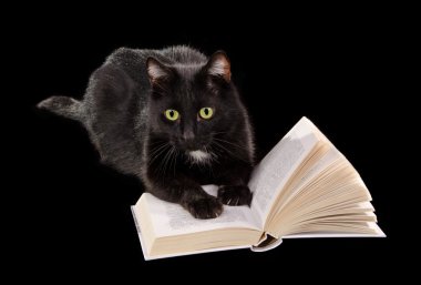Kara kedi siyah arka plan üzerine bir kitap okuma
