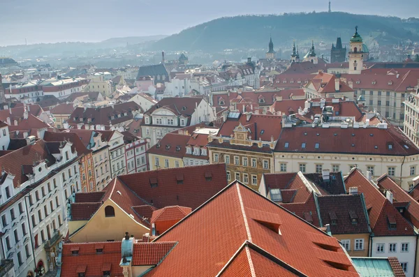 Prague roofs — Stock Photo, Image