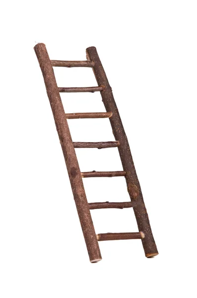 Наклонная лестница — стоковое фото