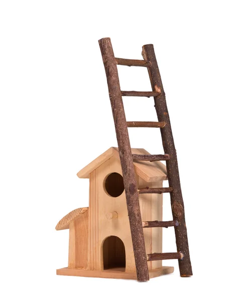 Birdhouse en ladder — Stockfoto