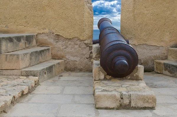 Old Cannon — Stock Photo, Image