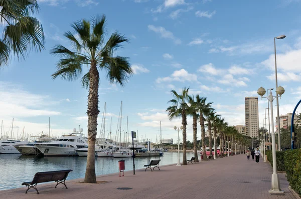 Alicante Marina — Stockfoto