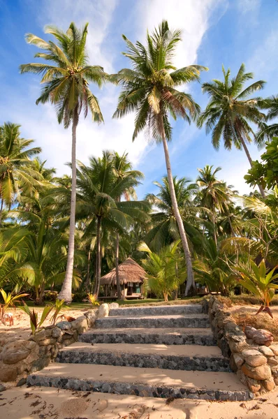 Camino a una villa tropical — Foto de Stock