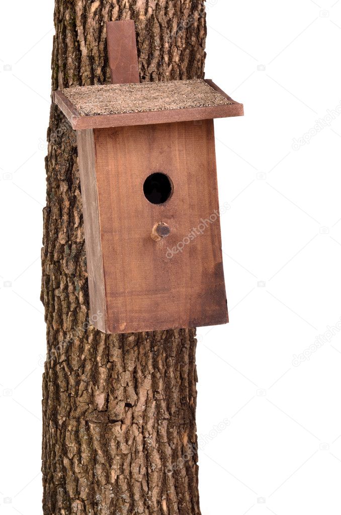 Handmade bird house (starling house) on a tree trunk isolated on white back