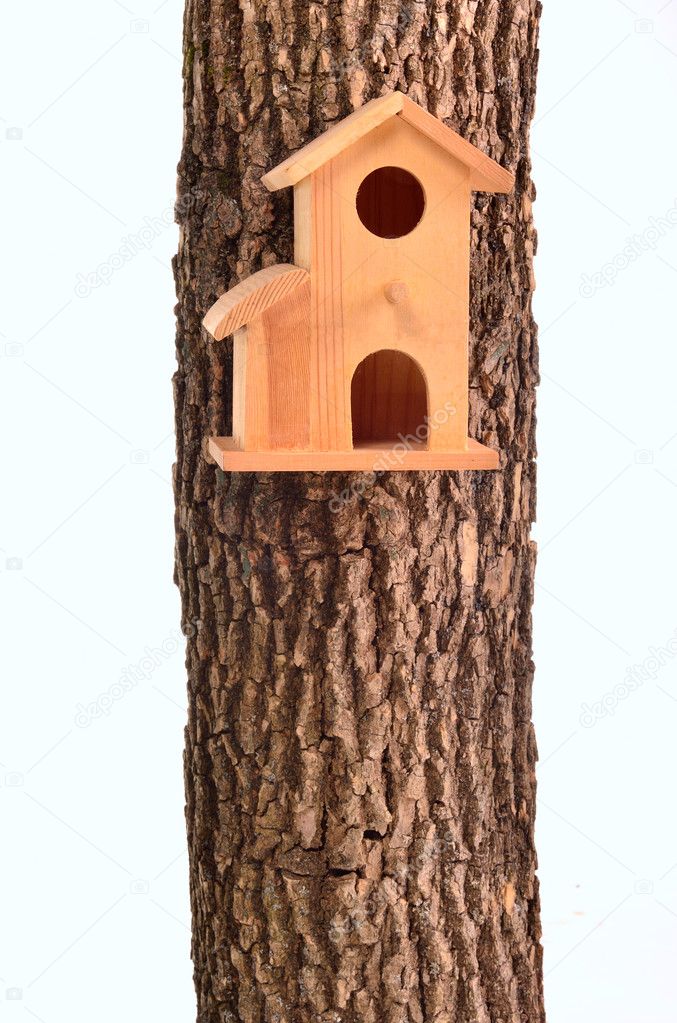 Modern starling-house on a tree trunk isolated