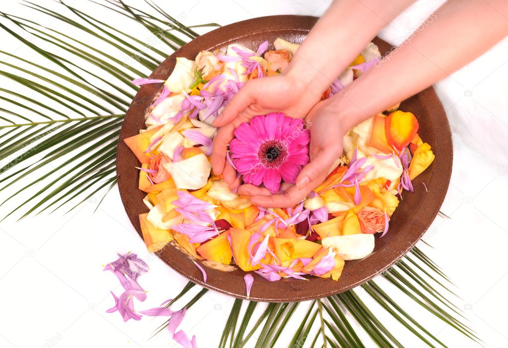 Woman Hands Spa with flower petals and natural ingredients - manicure conce