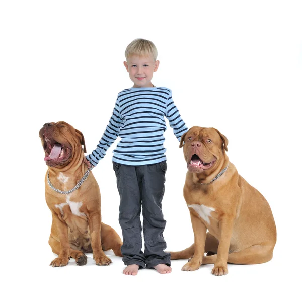 Pojke med sina hundar — Stockfoto