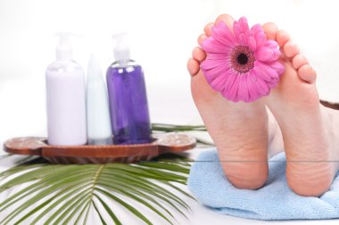 Woman's legs, SPA concept clipart