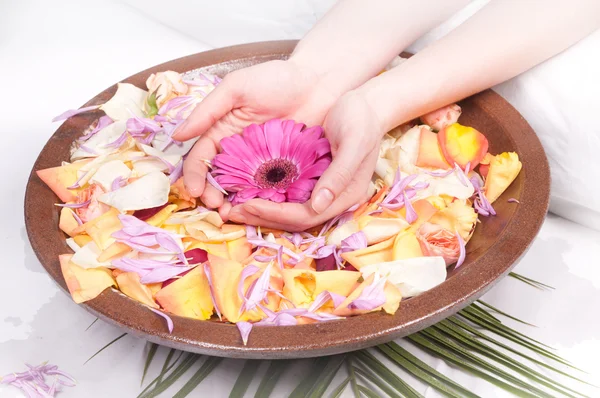 Spa for hands — Stock Photo, Image