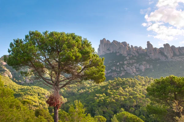 Berge montserrat, spanien — Stockfoto