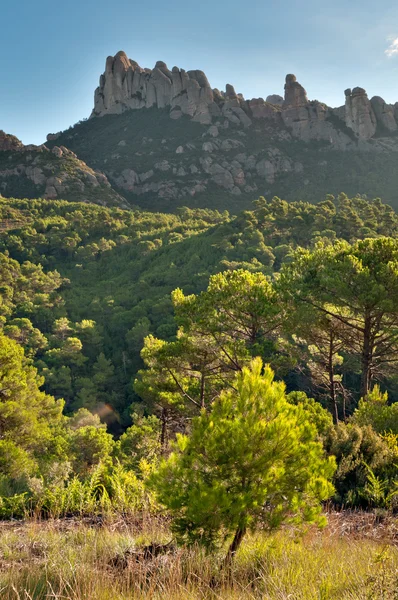 Bergen van Montserrat, Spanje — Stockfoto