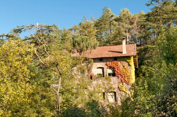 Huis in het bos, Spanje — Stockfoto