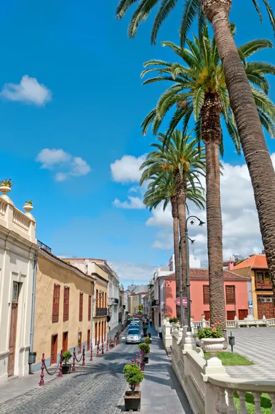 Zomer street, la orotava, eiland tenerife, Spanje — Stockfoto