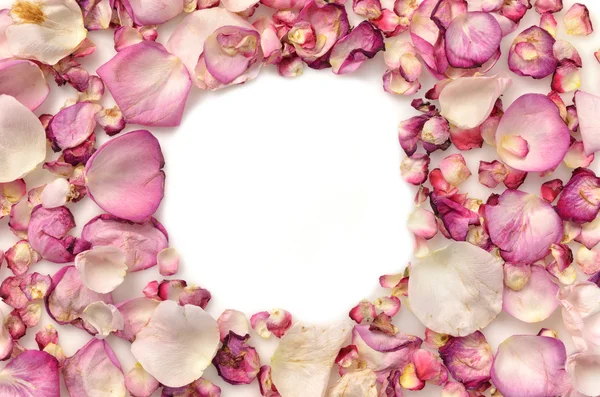 Quadro feito de pétalas de rosa rosa — Fotografia de Stock