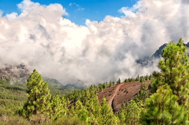 İspanya, Tenerife 'deki El Teide volkanı.