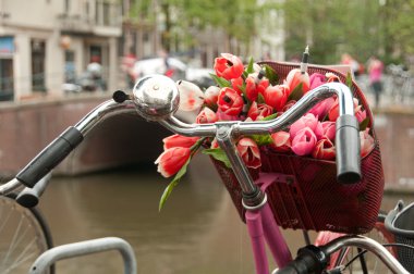 A basket of fresh bouquet of red tulips on a bike clipart