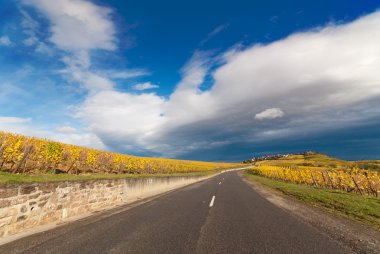 Road through vineyard landscape clipart