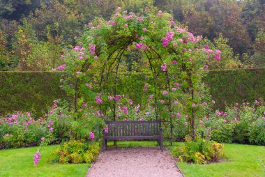 Single bench in the park under pink roses clipart