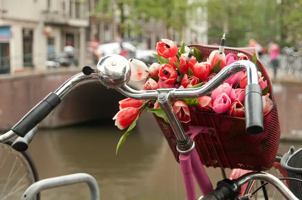 Een mand van verse boeket van rode tulpen op een fiets — Stockfoto